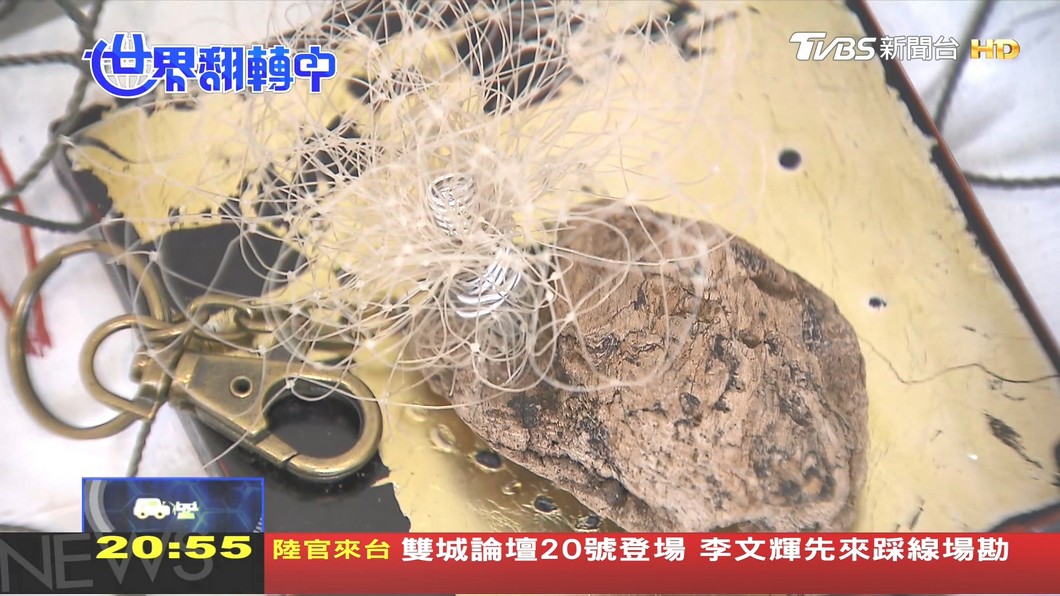 圖/TVBS