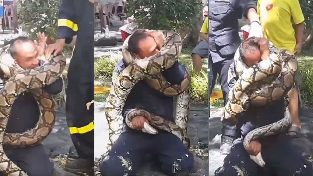 消防員示範掙脫蟒蛇，卻險遭勒斃。圖／翻攝自YouTube／Viral Press 