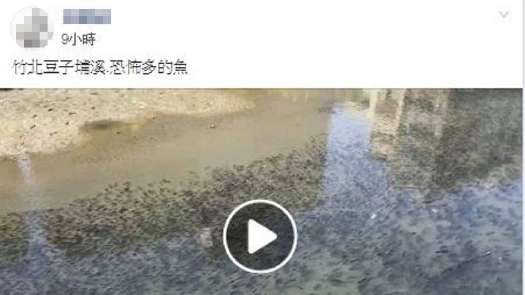 圖/翻攝新竹爆料公社臉書