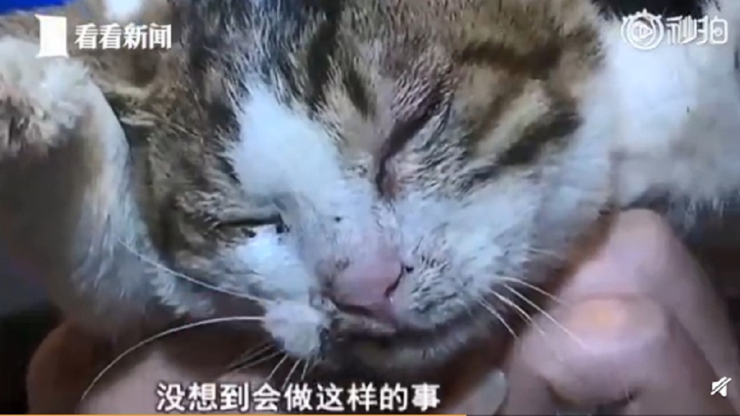 圖/翻攝自微博