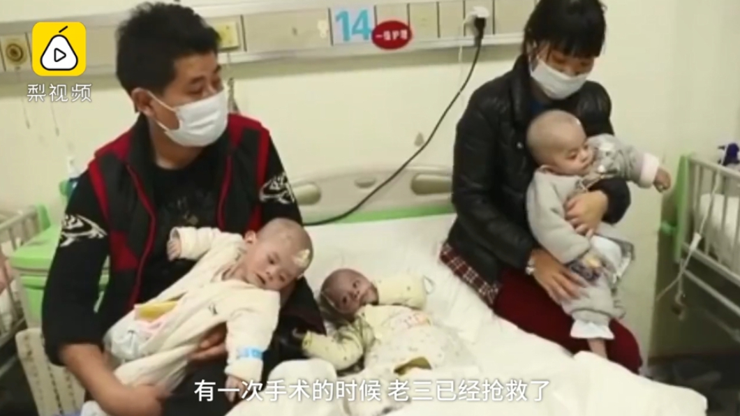 圖/翻攝自梨視頻
