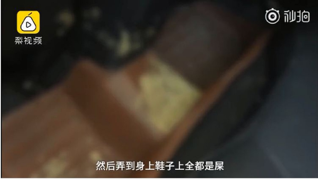 該名女子直接在車內拉屎拉尿。(圖/翻攝自梨視頻)