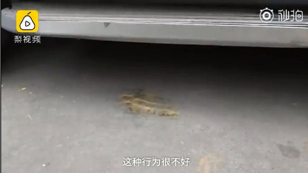 車主的妻兒隔天上車時,不慎摔沾這些屎。(圖/翻攝自梨視頻)
