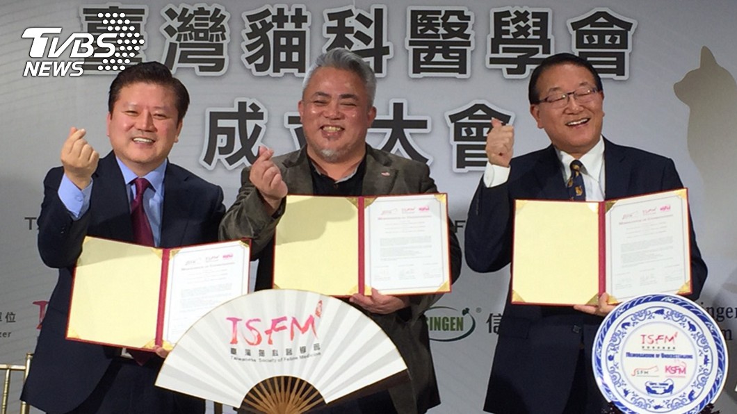 台灣貓科醫學會（TSFM）29日已經成立。圖／中央社