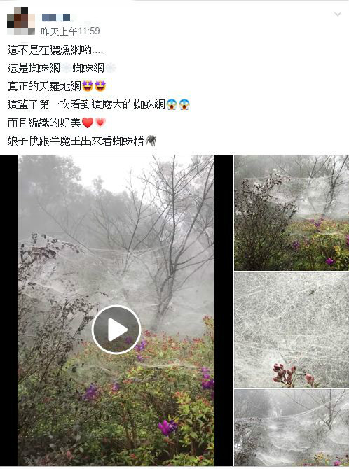 圖/翻攝自爆廢公社臉書