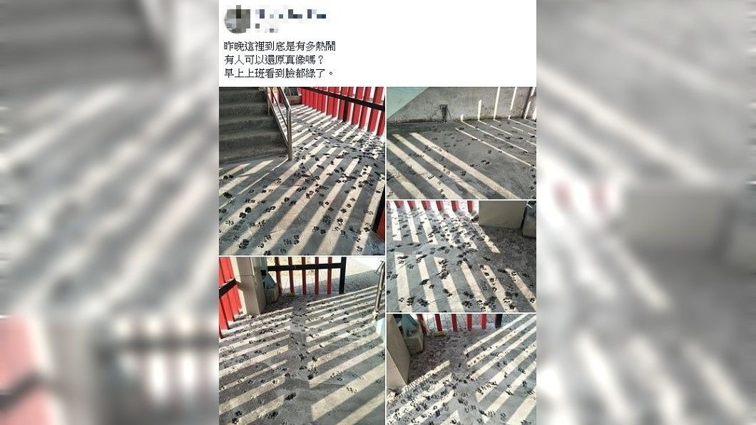 不少網友建議可以保留樣貌。(圖/翻攝自爆廢公社)