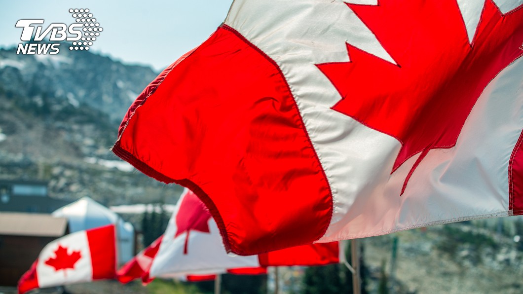 加拿大國旗。圖／Shutterstock