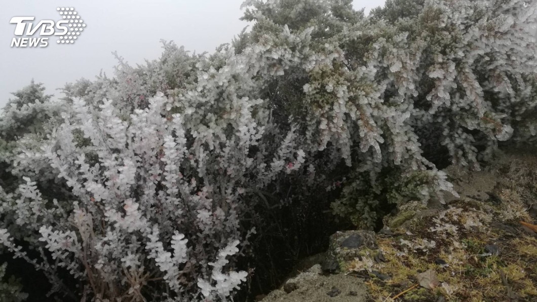 玉山的霧淞。圖/氣象局提供