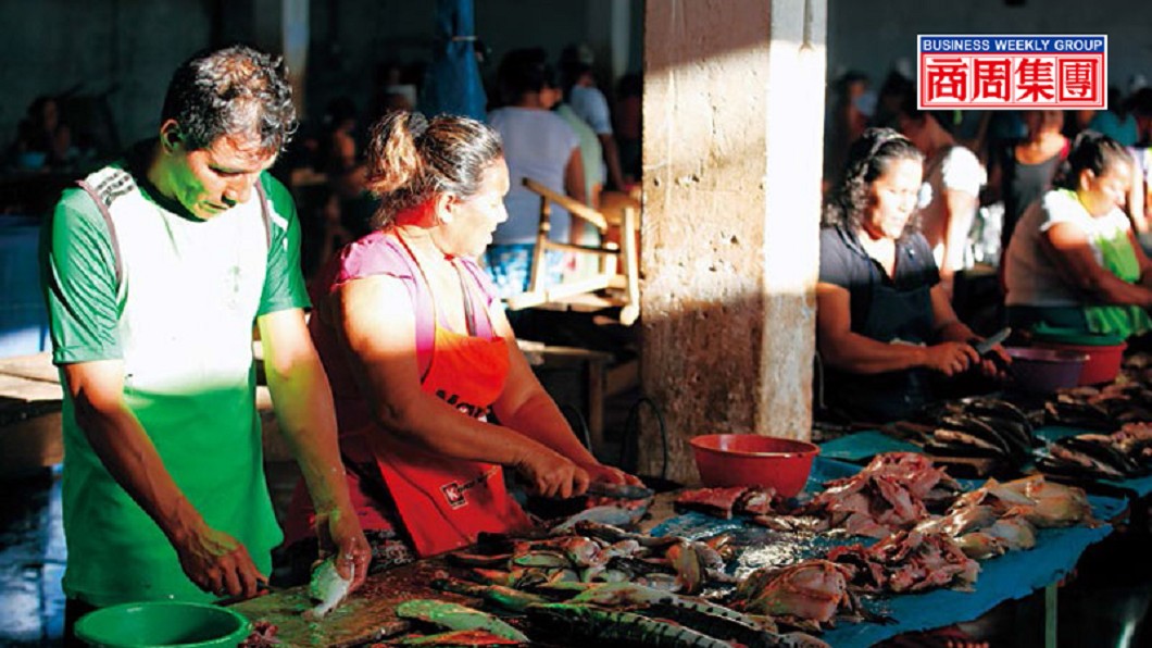 亞馬遜河裡駭人的食人魚，在伊基托斯市場裡，卻成了小販的魚貨和盤中飧。圖／商業周刊
