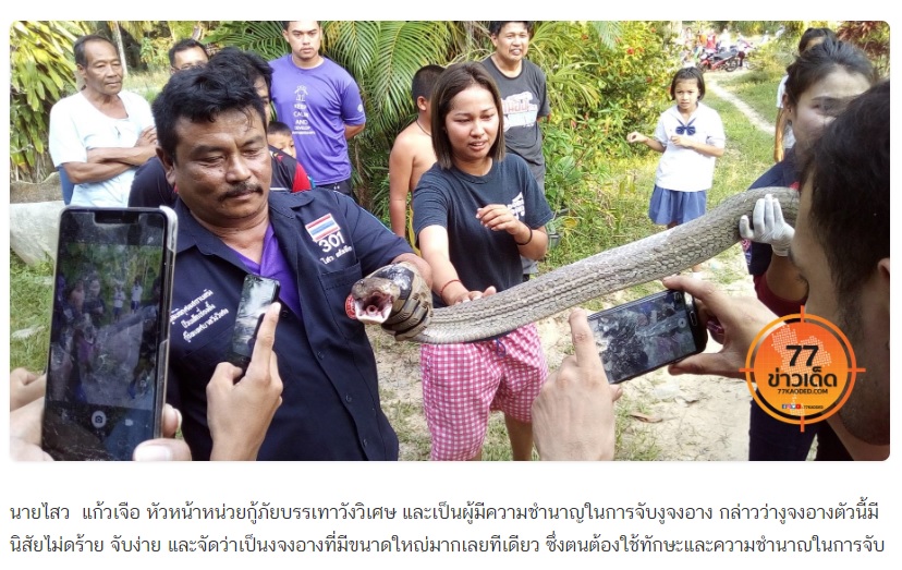 圖/截取自77 ข่าวเด็ด