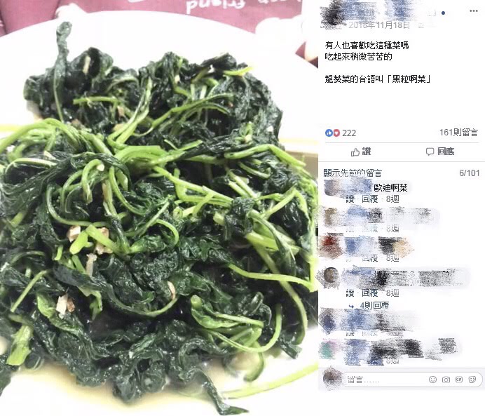 龍葵也有眾多說法,像是「黑粒啊」菜。圖/翻攝自爆廢公社