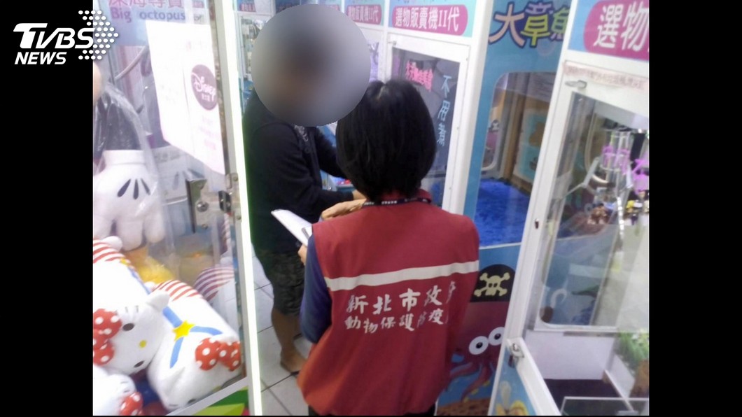 圖/TVBS