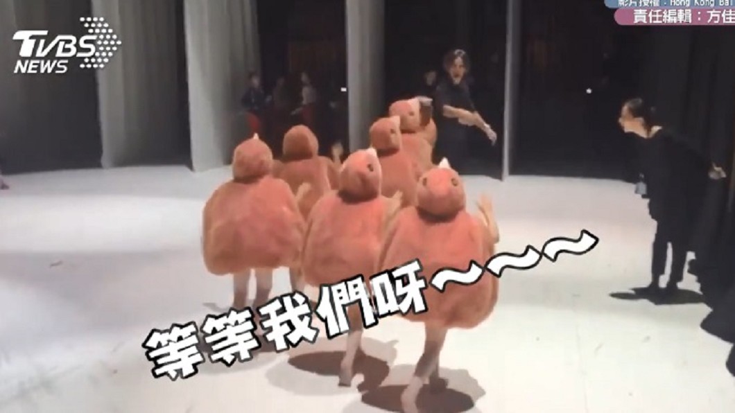 圖/香港芭蕾舞團授權提供