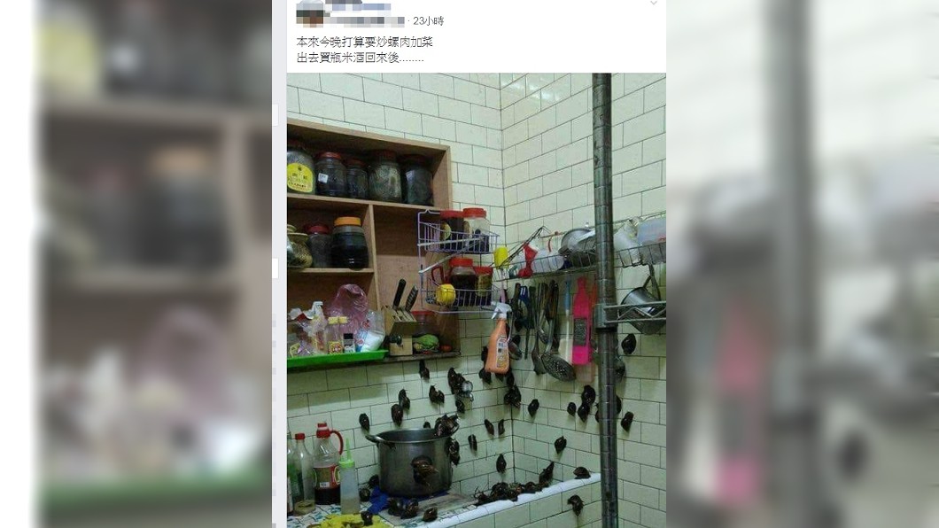 圖/翻攝自爆笑公社