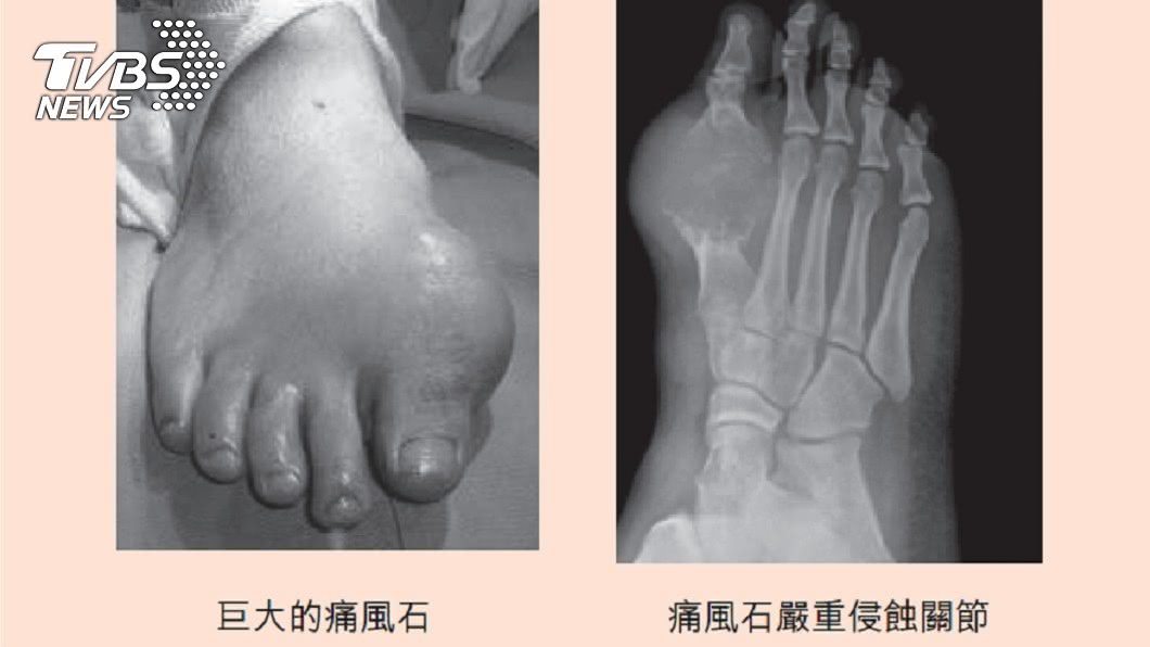 圖/《時報文化》提供