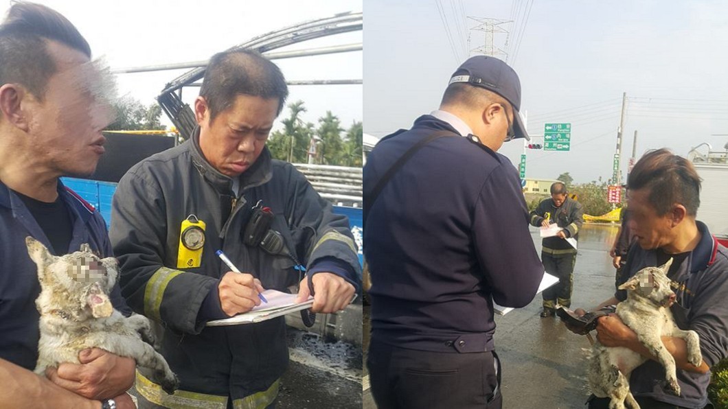 車主護狗心切,求警先去獸醫院再回來釐清起火原因。圖/爆料公社