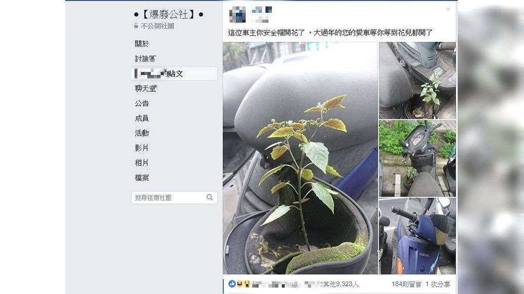 網友們還開玩笑地說:我等到花兒都開了。(圖/翻攝自爆廢公社)