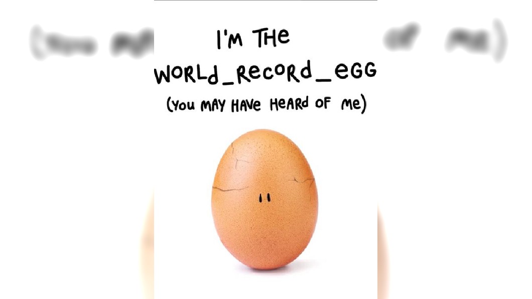 圖／翻攝自world record egg Instagram