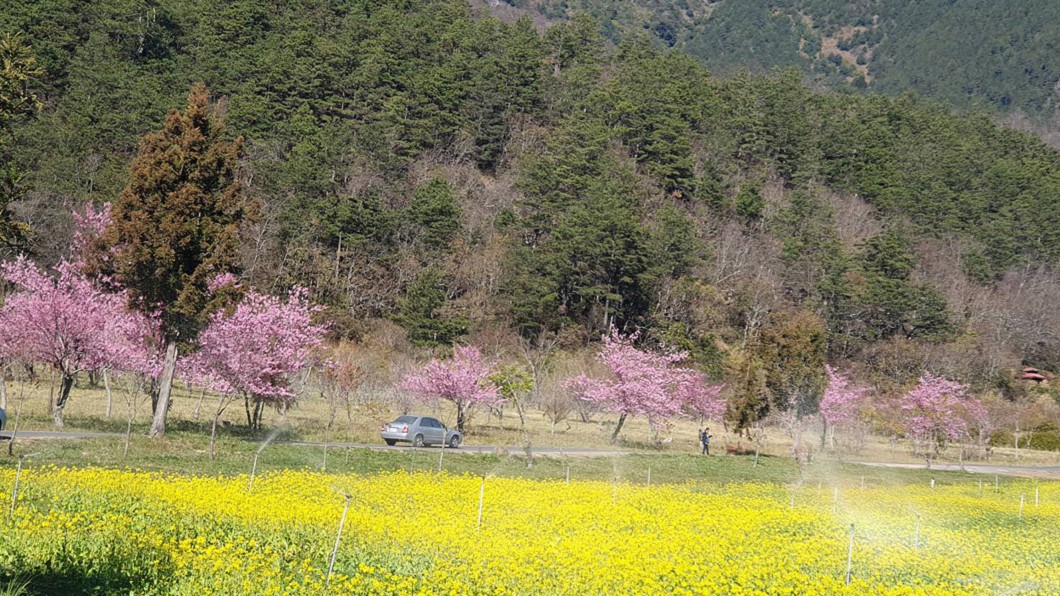 圖/武陵農場提供