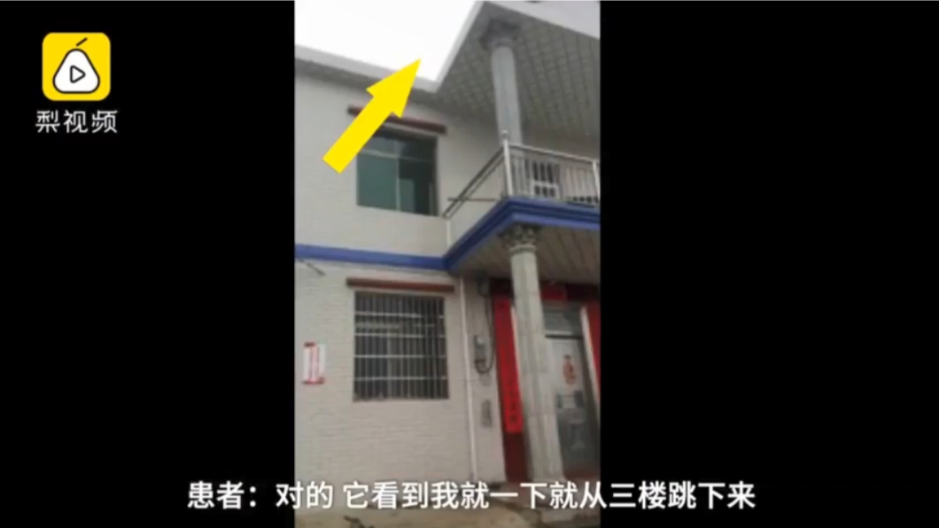 圖/翻攝自梨視頻