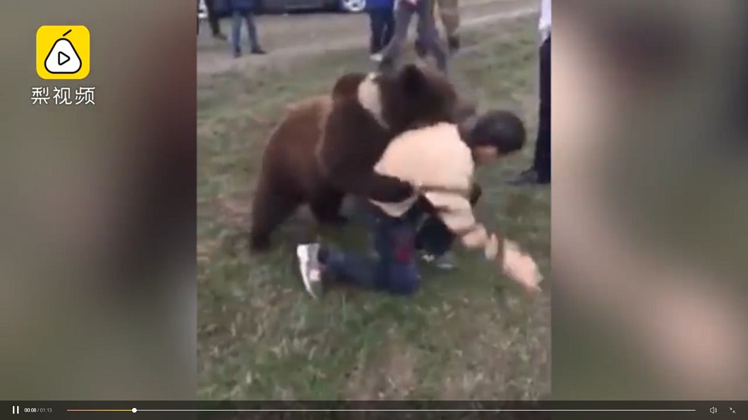 俄羅斯1名父親逼9歲兒子和棕熊搏鬥。圖／翻攝自《梨視頻》
