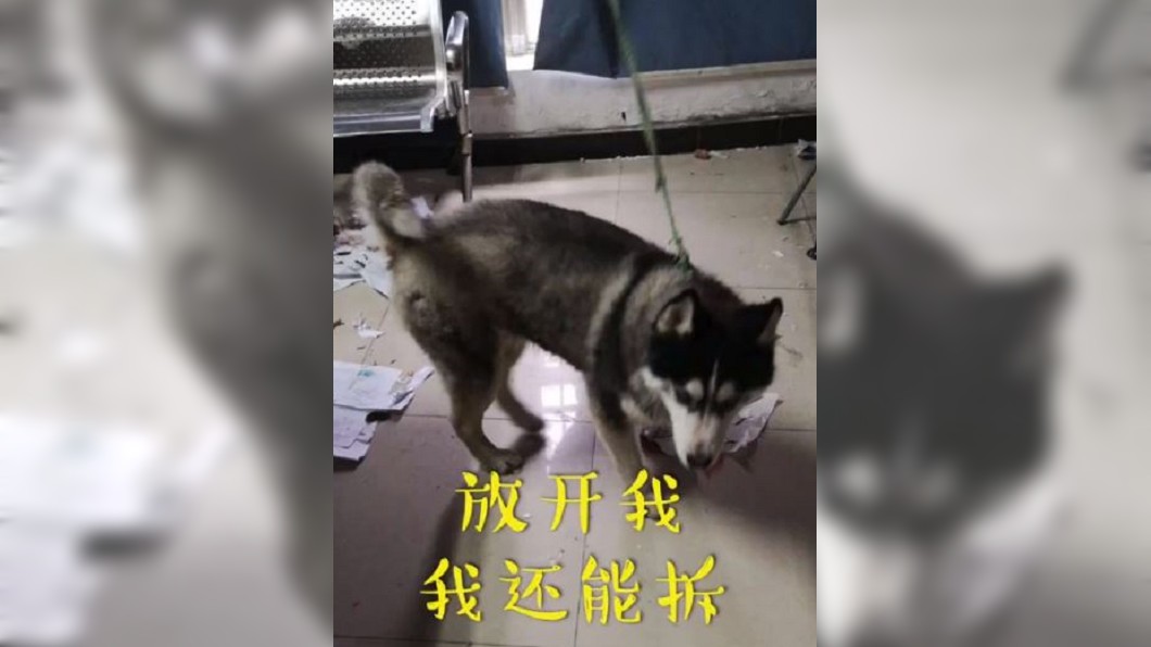 圖/微博