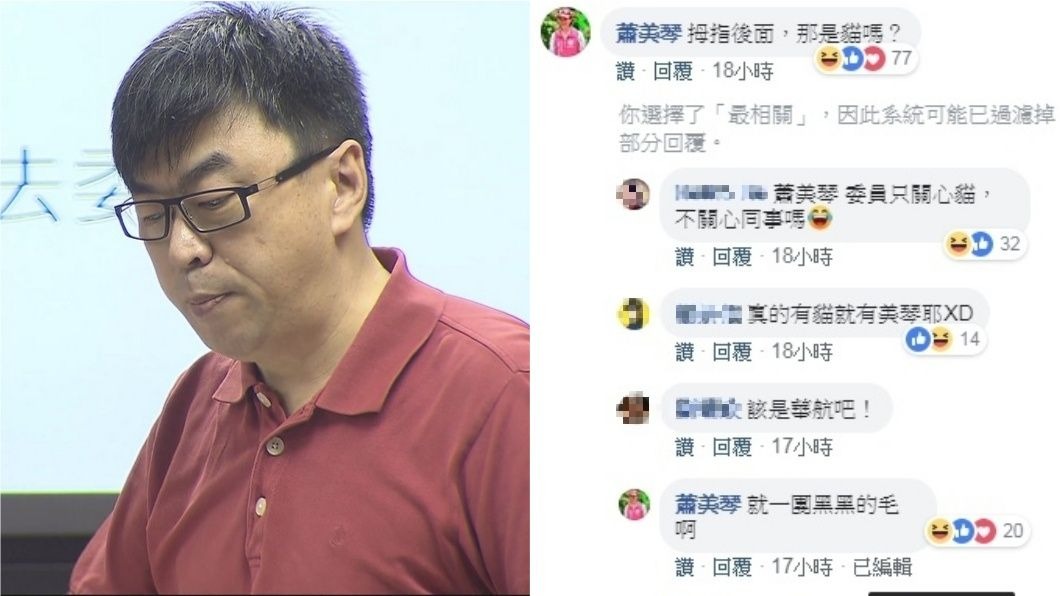 圖/TVBS、段宜康臉書