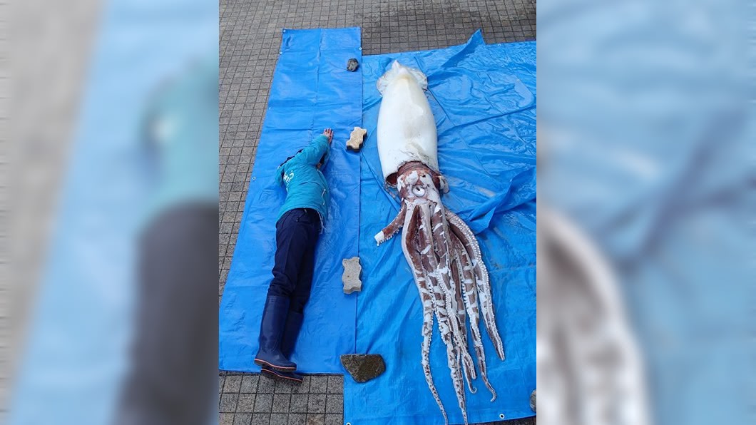 圖/翻攝自島根Aquas水族館臉書