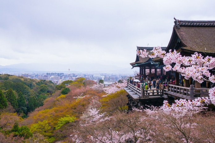 亞洲櫻花季景點-日本京都清水寺。 圖/翻攝自Tripbaa趣吧!亞洲自由行專家
