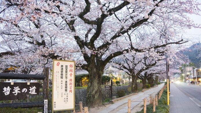 亞洲櫻花季景點-日本京都清水寺。圖/翻攝自Tripbaa趣吧!亞洲自由行專家