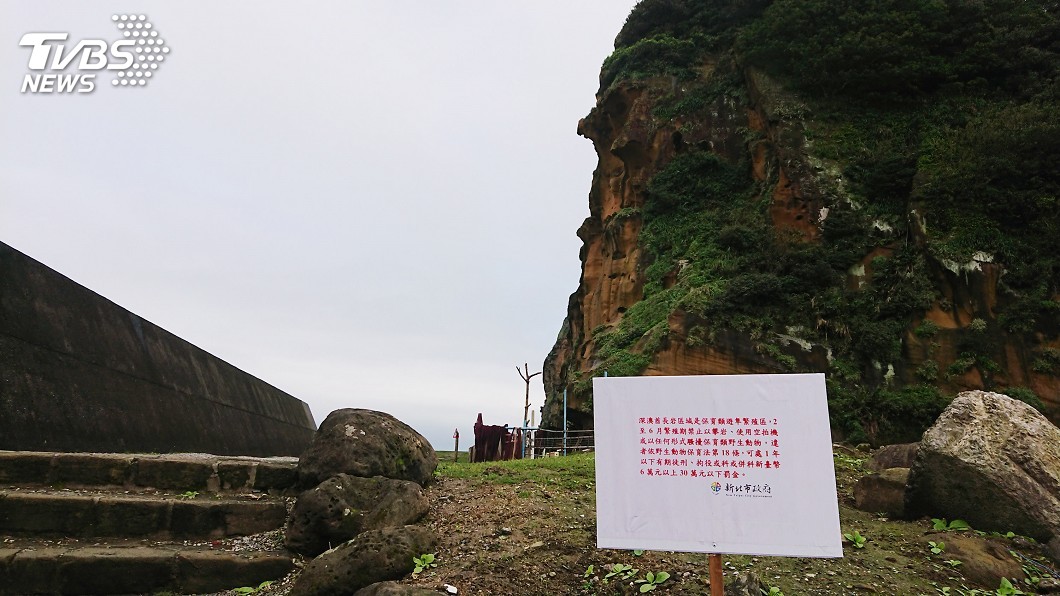 圖/中央社