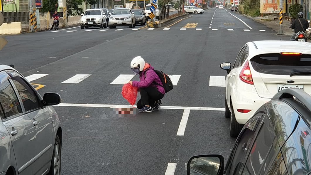 常在路上看到有貓狗等動物被輾斃在馬路上，會有好心人幫忙處理屍體。(示意圖，非當事人／翻攝自 彰化人大小事 臉書)