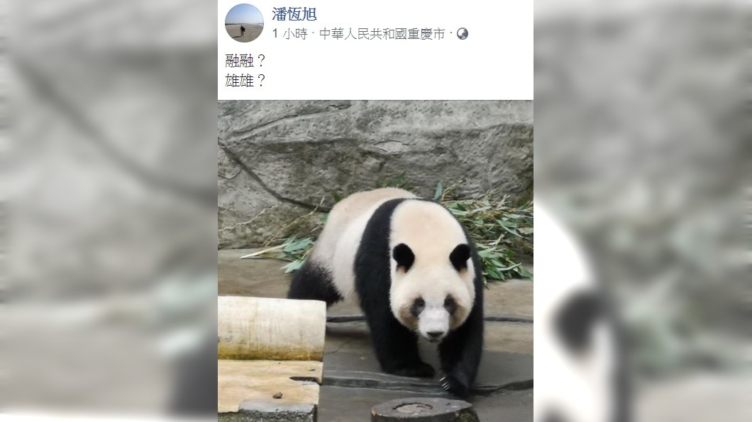圖/翻攝自潘恆旭臉書