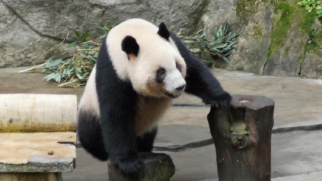 圖/翻攝自潘恆旭臉書