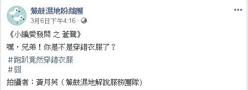 圖/截取自鰲鼓溼地粉絲團