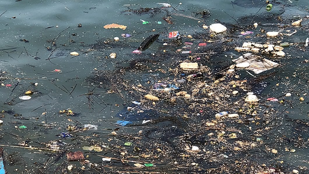 馬祖海域12日出現大量銅藻伴隨海漂垃圾來到澳口，今年比去年提早了10天左右到達。圖／馬祖漁民提供