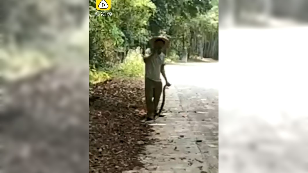 潘男徒手抓蛇,姿勢相當霸氣。圖/翻攝自微博