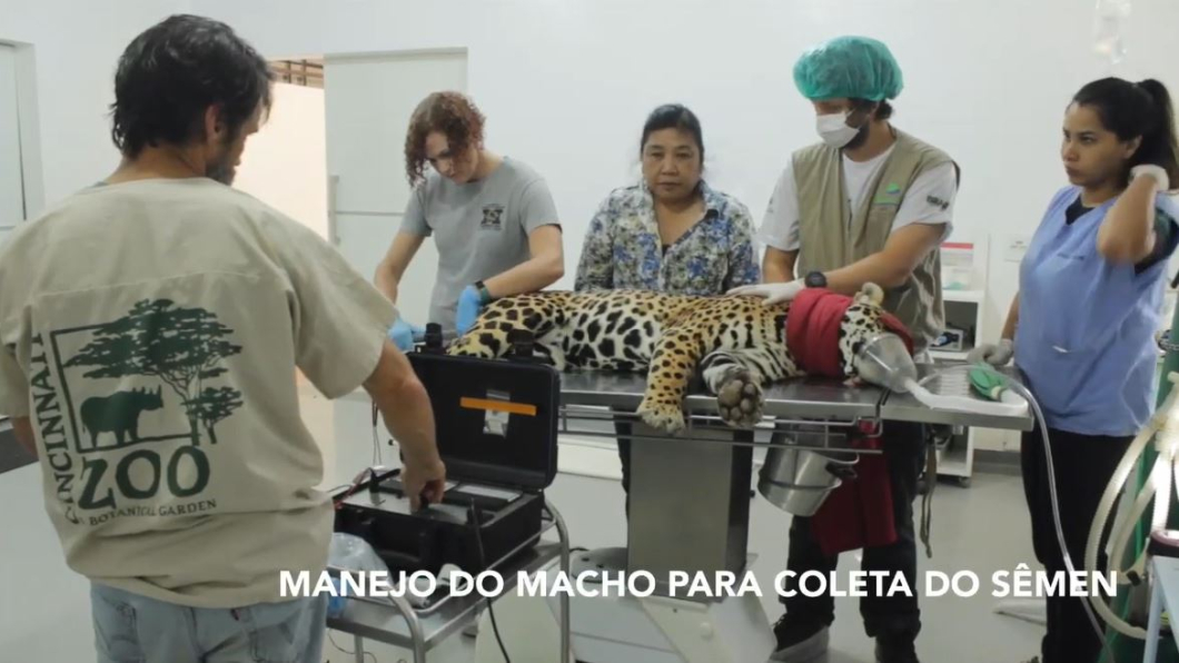 圖/翻攝自YouTube,Associação Mata Ciliar
