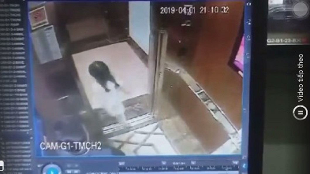 圖/翻攝自臉書