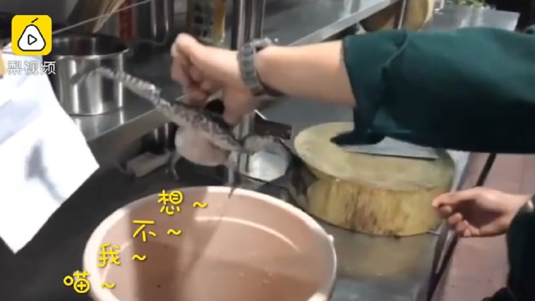 圖/翻攝自《梨視頻》