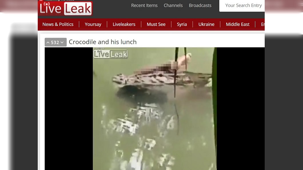 圖/翻攝自Liveleak