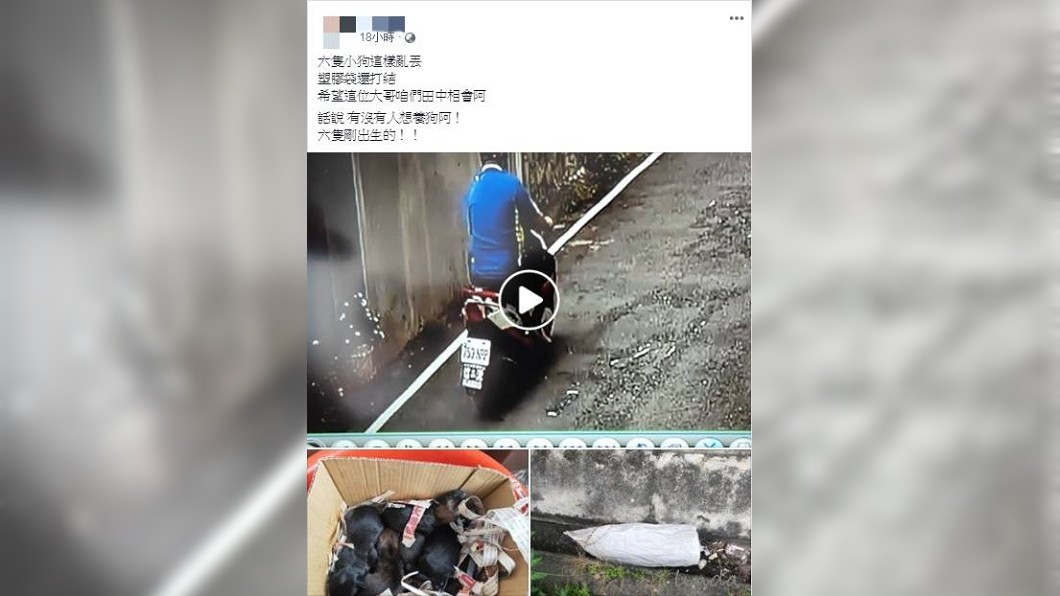 圖/翻攝臉書