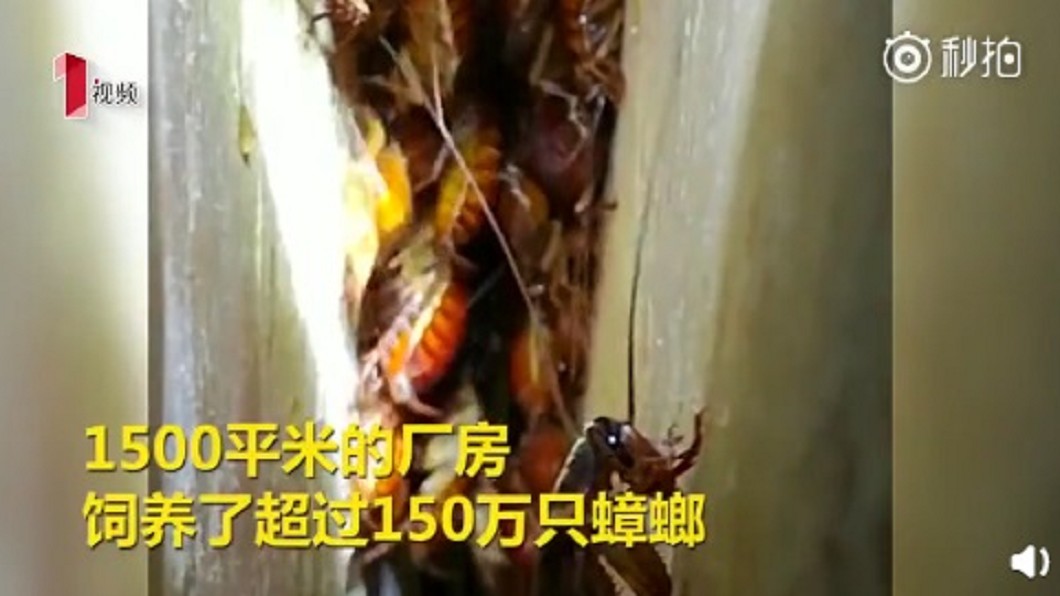 圖/翻攝自《微博》