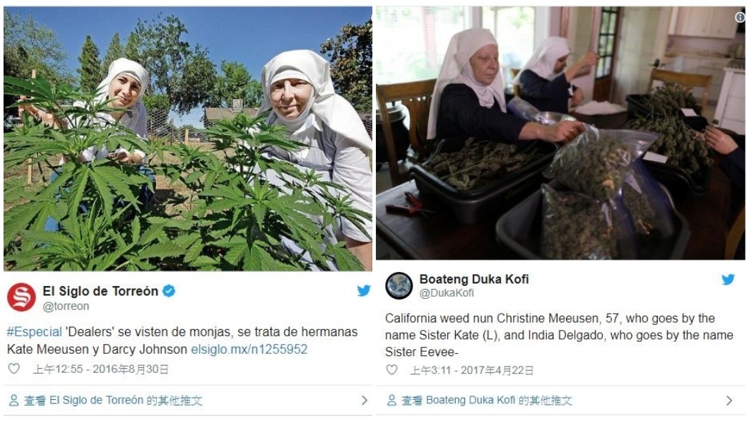 目前修女們正積極研發大麻其他藥效,希望能幫助癌症和癲癇患者。(圖/翻攝自推特)