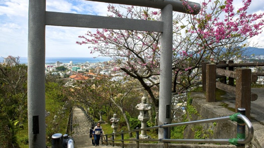 沖繩景點四季玩法-沖繩名護櫻花季。(圖/翻攝自© Okinawa Convention&Visitors Bureau)