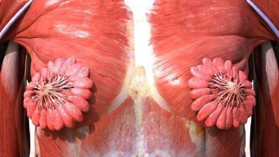 乳腺管真實樣貌,嚇倒不少網友。圖/翻攝自twittwr