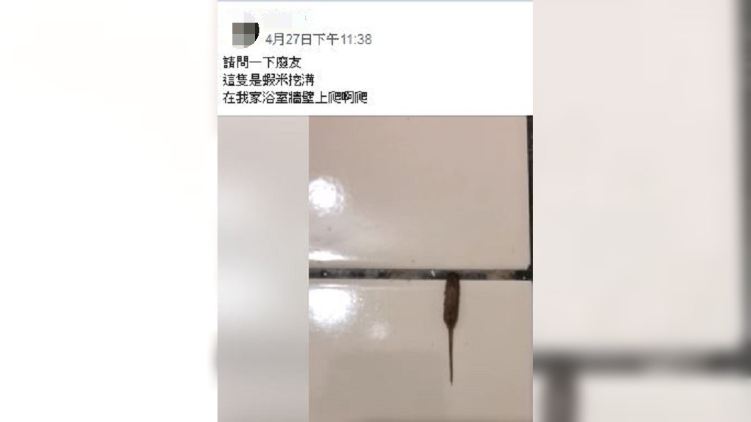 圖/翻攝自爆廢公社