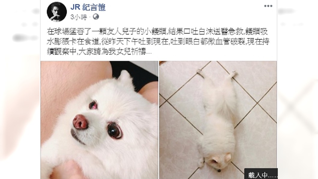 紀言愷表示「小胖妹」從昨天下午吐到現在,連眼白微血管都破裂。圖/翻攝JR 紀言愷臉書