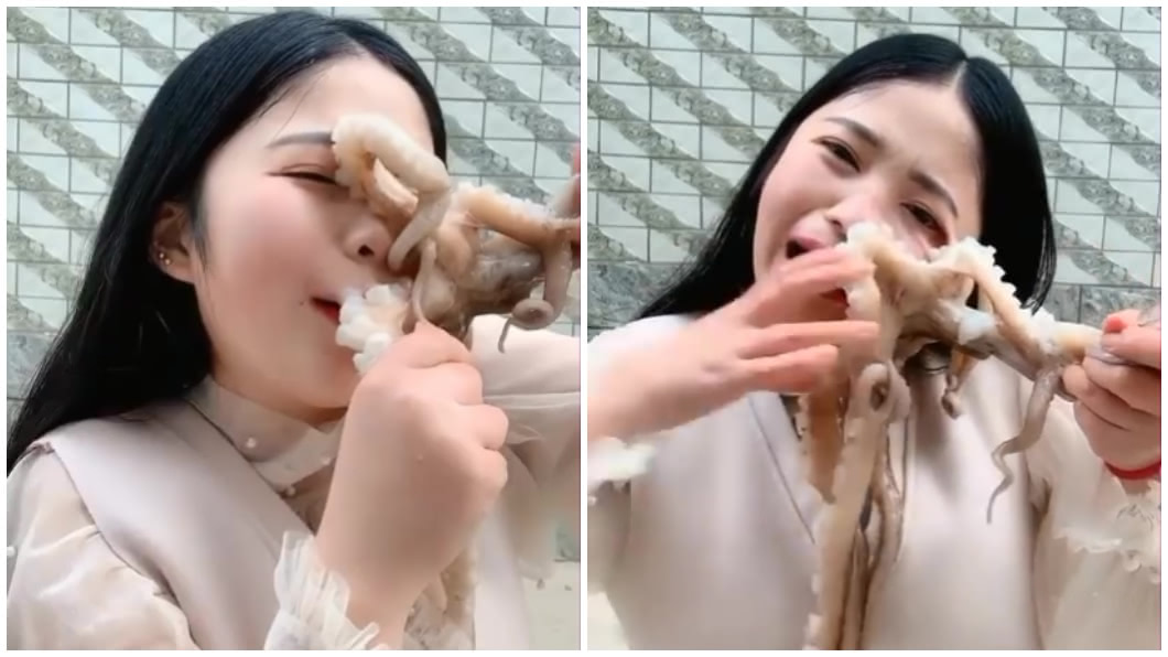 圖/翻攝自影片