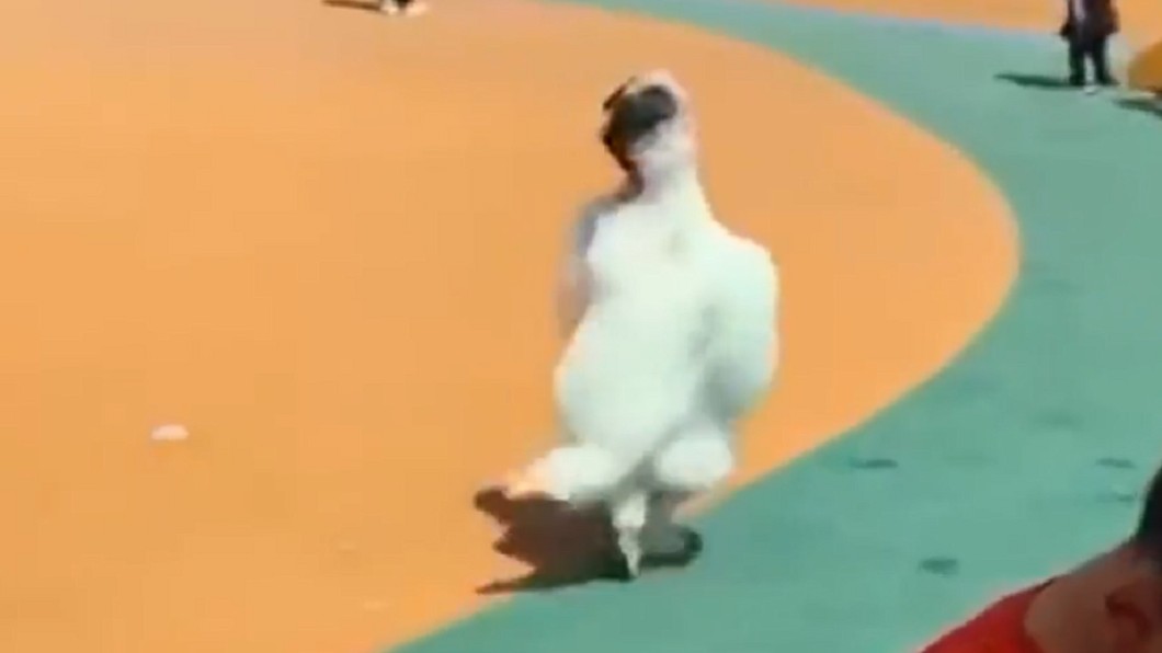 「白色大鵝」搖搖晃晃的在遊樂園到處走動。圖／翻攝自梨視頻 遊樂場內出現「大白鵝」？細看網友笑翻：親媽都認不出來